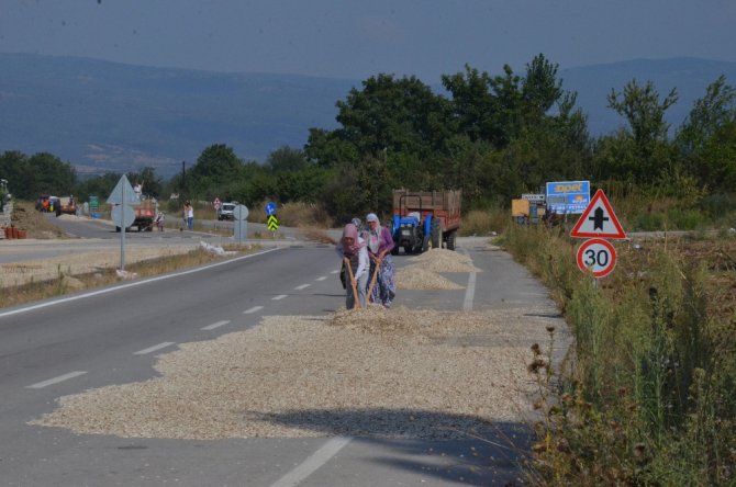 Otoyolda Kurutup Dünyanın Dört Bir Yanına İhraç Ediyorlar
