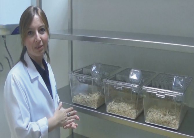 Sağlık, Kobay Fareler İle Gelecek