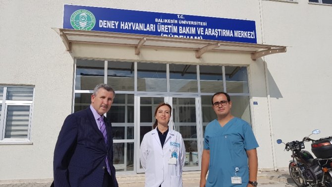 Sağlık, Kobay Fareler İle Gelecek