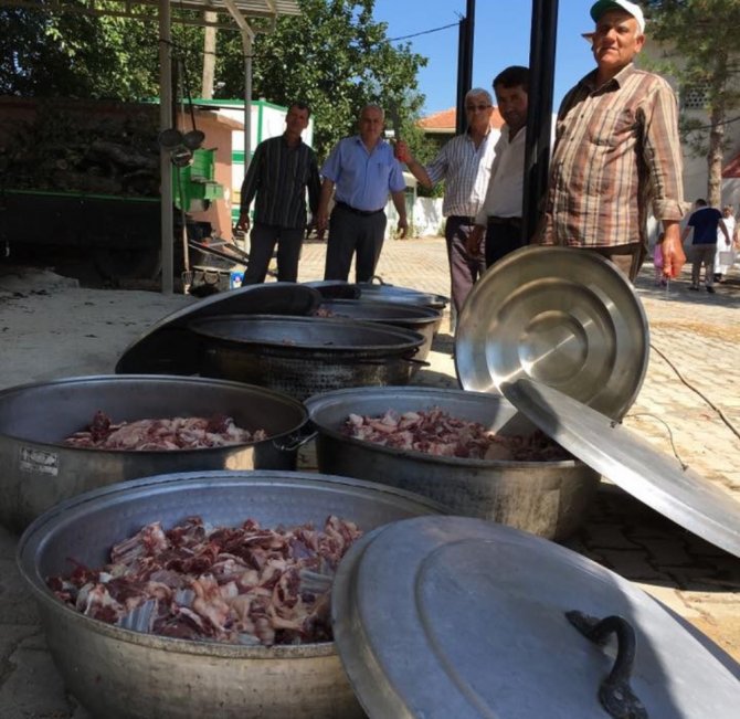 Kabını Kapan Oraya Koştu