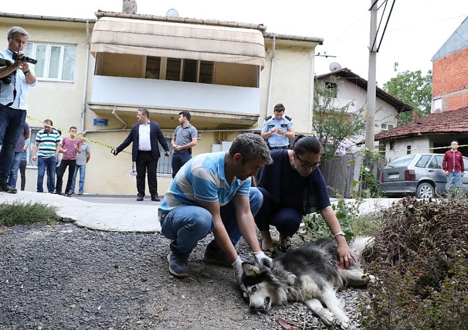 Evinin Karşısına Tuvaletini Yapan Köpeği Ve Sahibini Vurdu