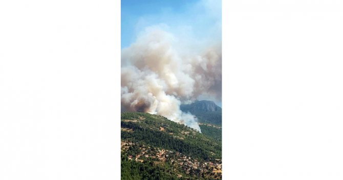 Muğla’da Orman Yangını