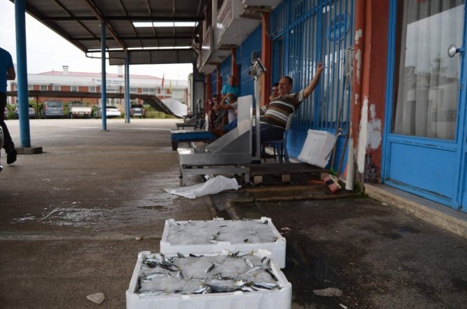 Karadeniz’de Beklenen Av Henüz Olmadı