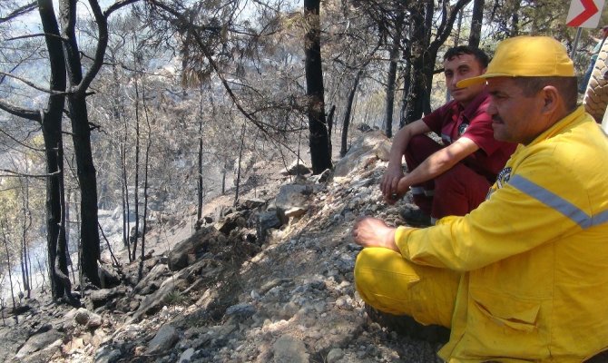Muğla’daki Yangın Kontrol Altına Alındı