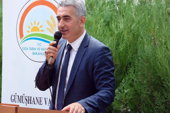 Gümüşhane’de Yeni Trend: Seracılık