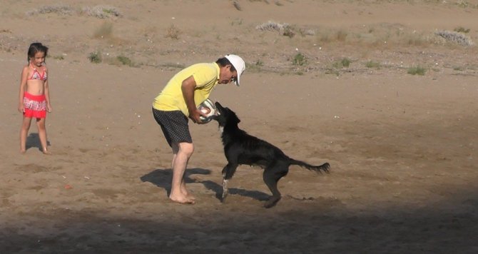 Sahipsiz Köpek Plajın Maskotu Oldu