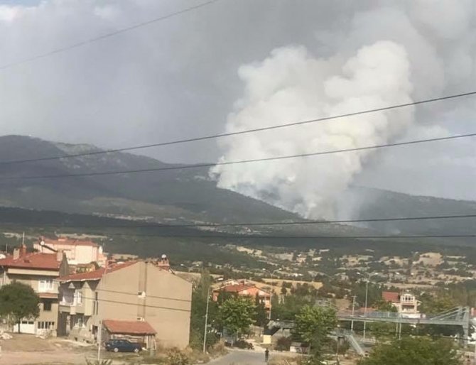 Kütahya’da Orman Yangını Sürüyor