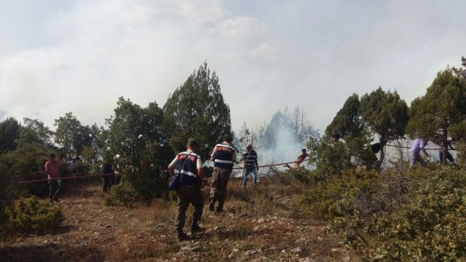 Kütahya’da Orman Yangını Sürüyor