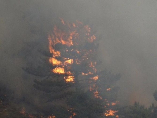 Kütahya’da Yangın Büyüyor: 7 Ev Boşaltıldı