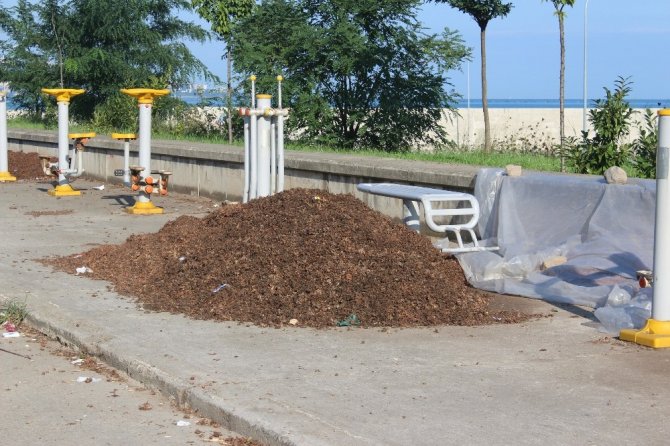 Ferrero Değerli Tarım Zirai İşler Müdürü Arıkoğlu: “Yüz Binlerce Ton Fındık Zurufu Heba Olmasın”