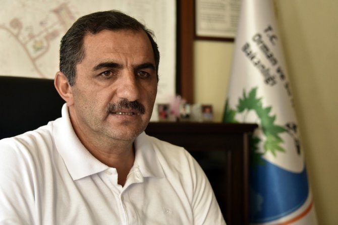 Araç Çarpması Sonucu Yaralanan Yavru Tilki Tedavi Altına Alındı