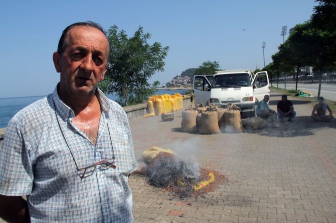 Fındık Fiyatını Fındığını Yakarak Tepki Gösterdi
