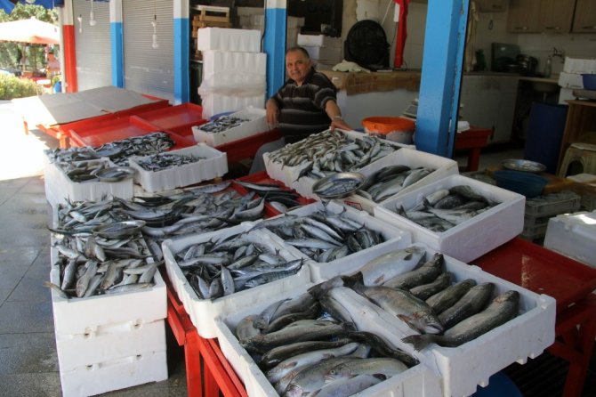 Giresun’da Yerli Hamsi Çıktı; Fiyatı İse 15 Tl
