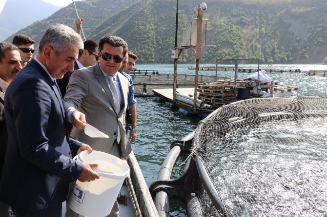 Denizi Yok Ama Japonya’ya Balık İhraç Ediyor