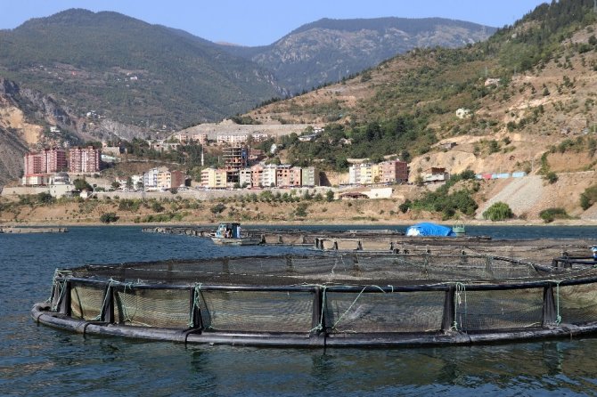 Denizi Yok Ama Japonya’ya Balık İhraç Ediyor