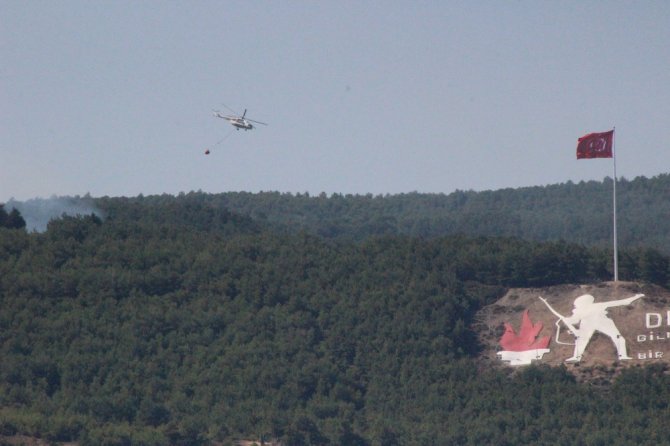 Tarihi Gelibolu Yarımadası’nda Yangın