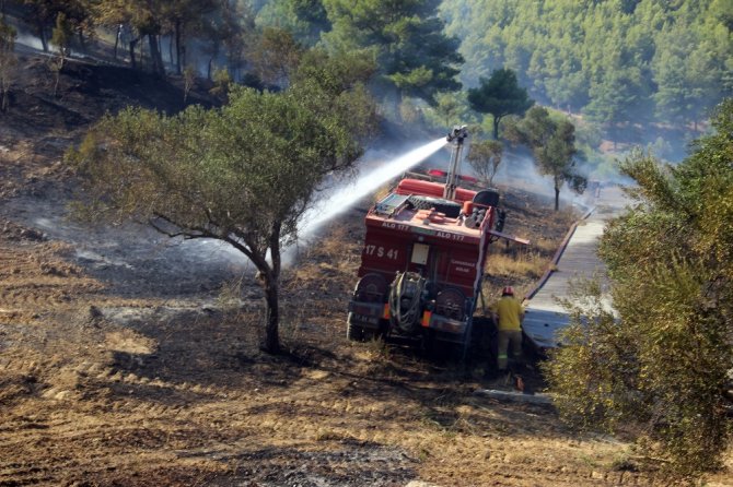 Gelibolu Yarımadasındaki Yangın Kısmen Kontrol Altında