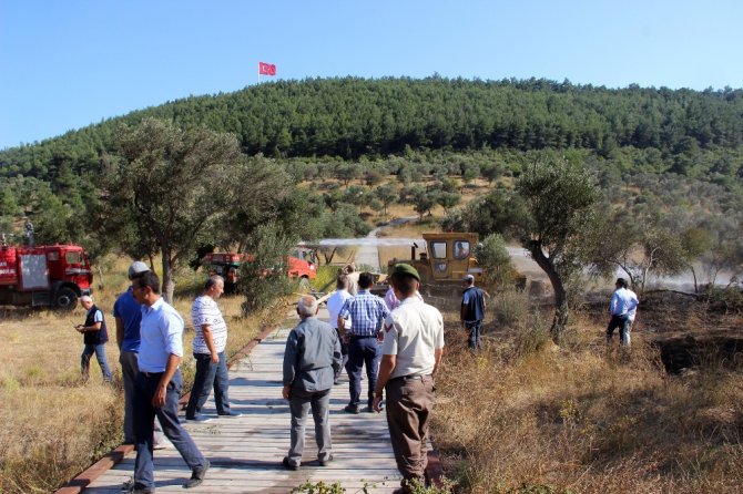 Gelibolu Yarımadasındaki Yangın Kısmen Kontrol Altında