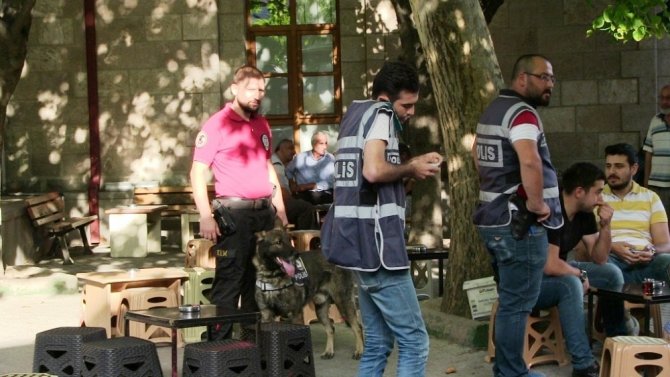 Artvin’de Narkotik Köpekler Eşliğinde Sokak Uygulaması