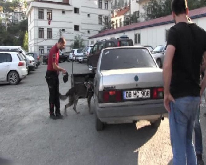 Artvin’de Narkotik Köpekler Eşliğinde Sokak Uygulaması