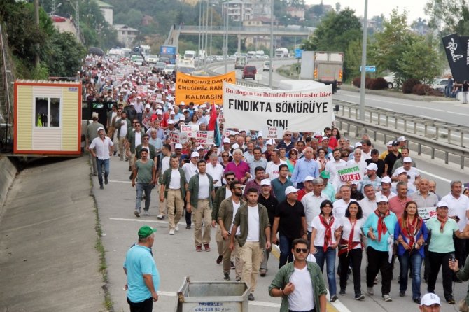 Ordu-giresun Arasında Yapılan 
