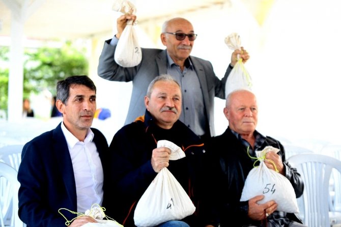 Giresun’da Fındıklar Yarıştı