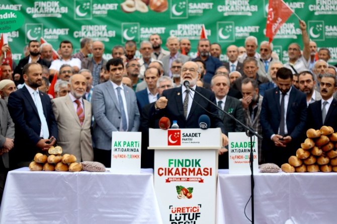 Saadet Partisi Giresun’da Fındık Çıkartması Yaptı