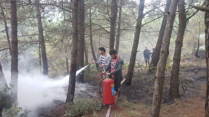 Amasra’da Orman Yangını