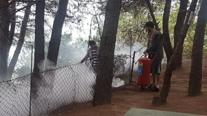Amasra’da Orman Yangını