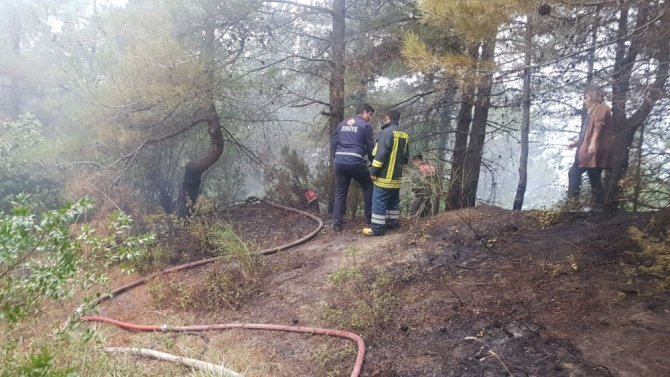 Amasra’da Orman Yangını