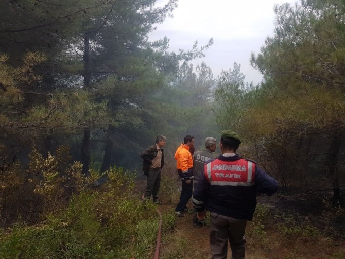 Amasra’da Orman Yangını