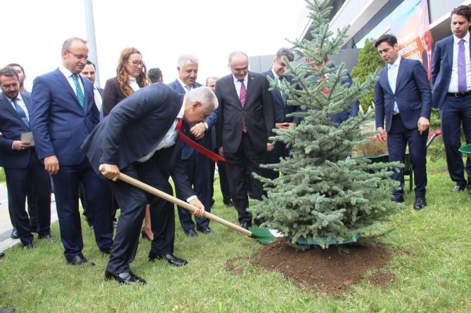 Başbakan Yıldırım Fidan Dikti