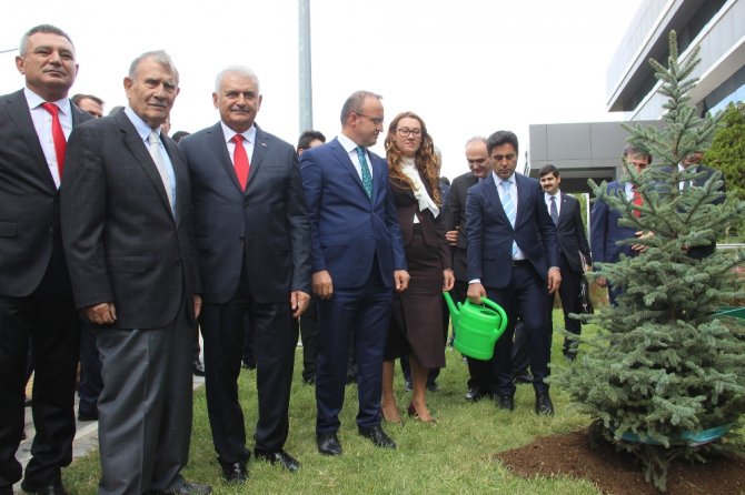 Başbakan Yıldırım Fidan Dikti