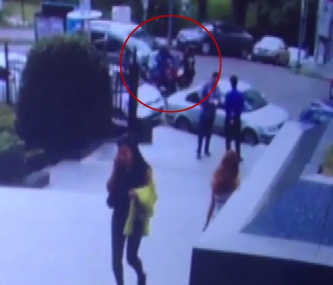 İstanbul’un Göbeğinde Yürek Burkan Bonzai Krizleri Kamerada
