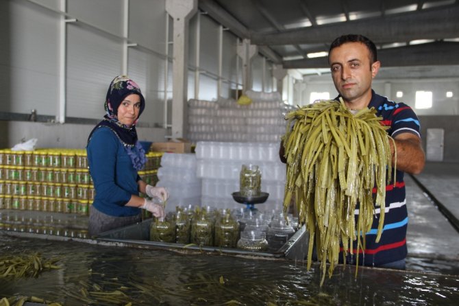 Birkaç Bidonla Başlayıp Fabrika Kurdular