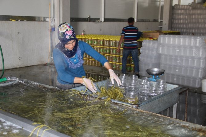 Birkaç Bidonla Başlayıp Fabrika Kurdular