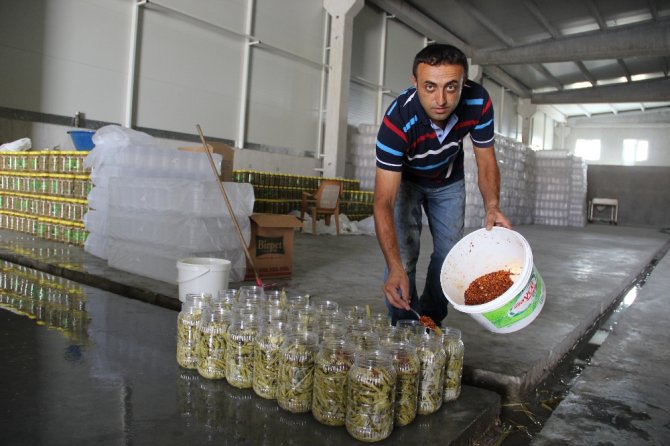 Birkaç Bidonla Başlayıp Fabrika Kurdular