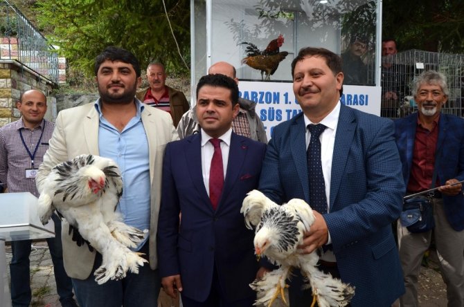 Trabzon’da Asgari Ücretin 20 Katına Tavuk Ve Horoz Satıldı