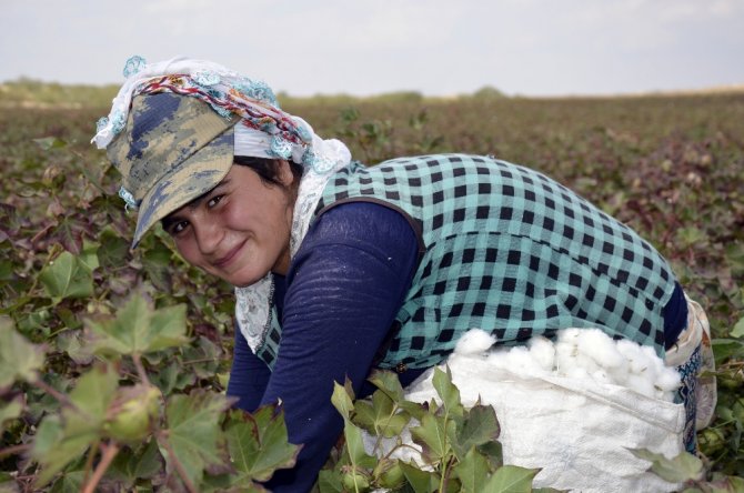 Yaşıtları Okulda, Onlar Tarlada