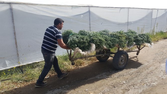 Yılda 20 Milyon Tl Kazanç Sağlıyorlar
