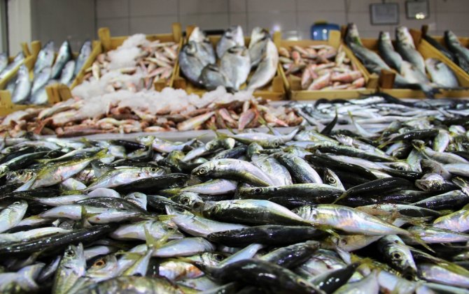 Balık Fiyatları El Yakıyor