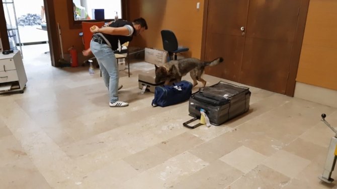 Trabzon Havalimanı’nda Piyasa Değeri 307 Bin Tl Olan 15 Kilo 371 Gram Esrar Ele Geçirildi