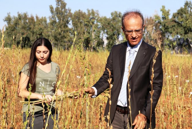 Üzerinde 20 Yıl Çalışıldı: Türünün Tek Örneği