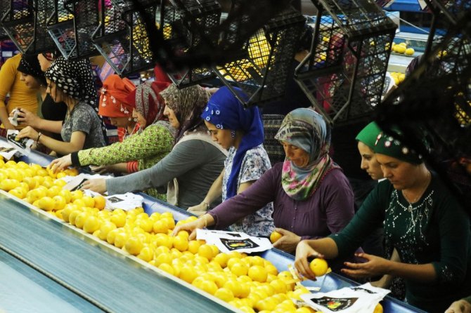 Limon Ve Mandalinanın "Fahiş Fiyat" Yolculuğu