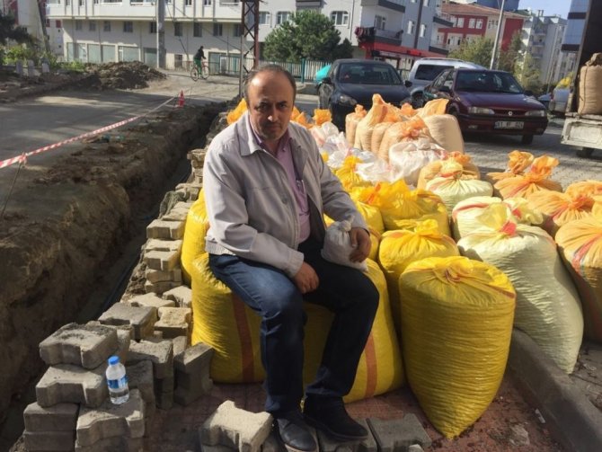 Fındık Üreticisi Fındığını Tmo’ya Verememenin Üzüntüsünü Yaşıyor