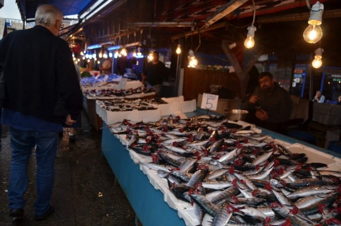 Karadeniz’de Beklenen Balık Avı Olmayınca Tekneler Moritanya’ya Yöneldi
