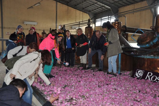 Ekonomisine 40 Milyon Avroluk ’Gül’düren Katkı
