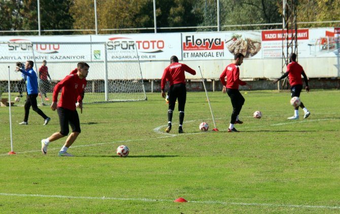 Samsunspor Tesislerini Dev Böcekler Bastı