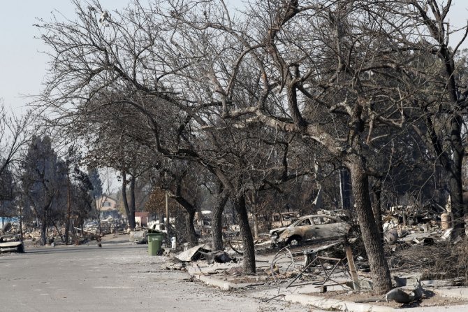 Kaliforniya’da Orman Yangını Sürüyor