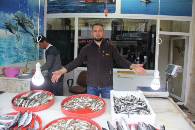 Artvinli Balıkçıdan Denetim İsyanı
